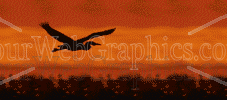 illustration - bird_at_sunset-gif